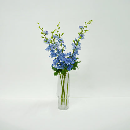 Blue Delphinium