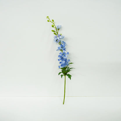 Blue Delphinium