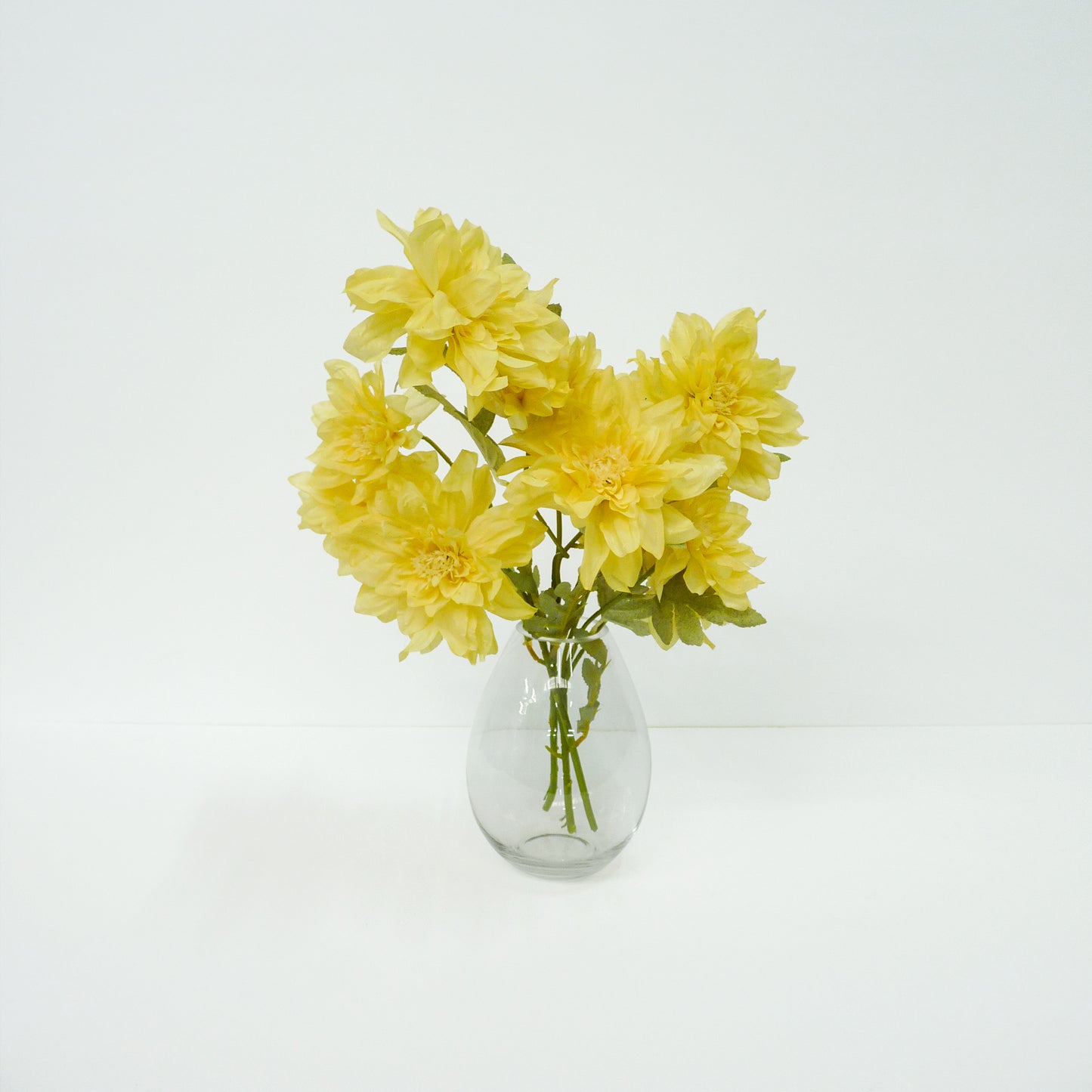 Yellow Dahlia