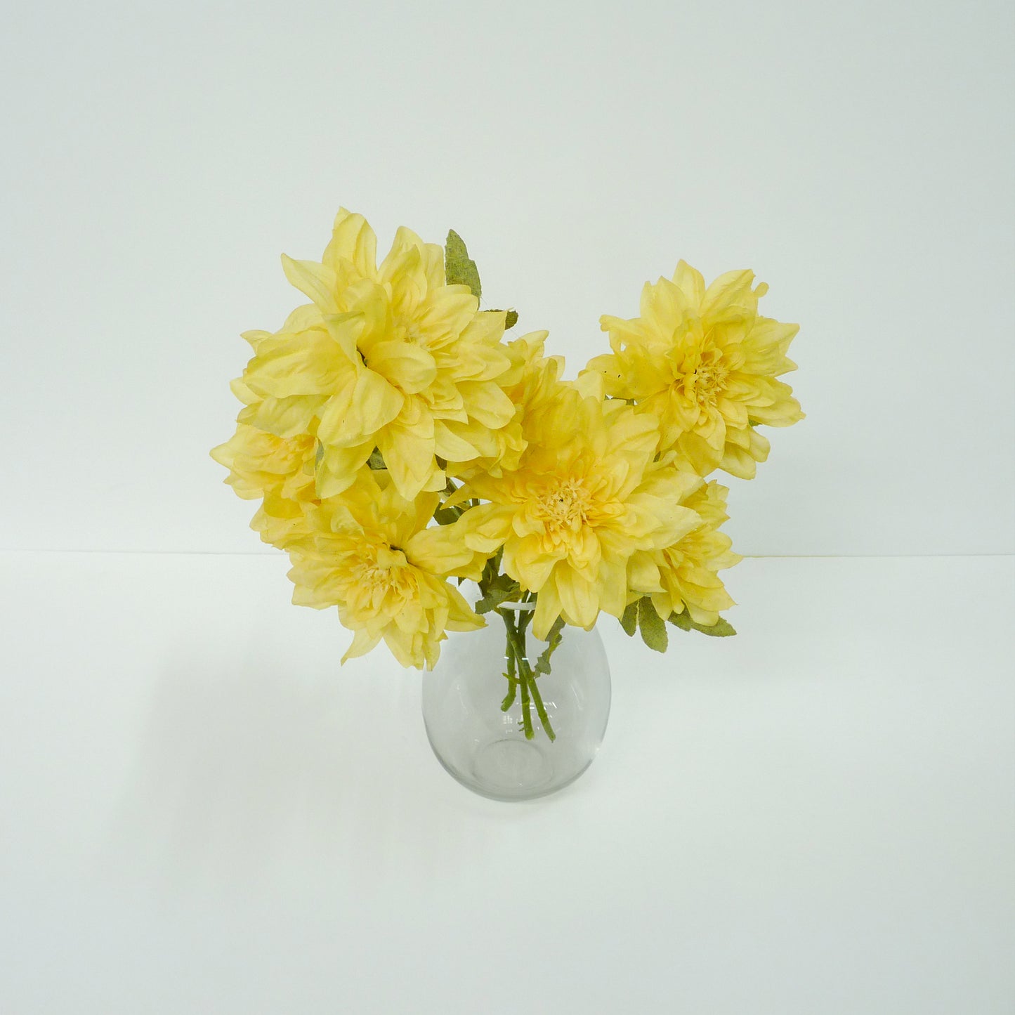 Yellow Dahlia