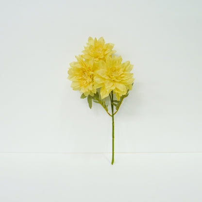Yellow Dahlia