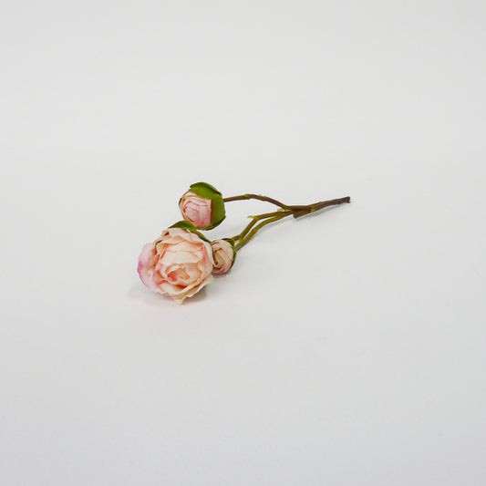 Small Rosebud Stems