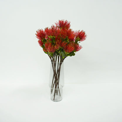Red Protea pincushion