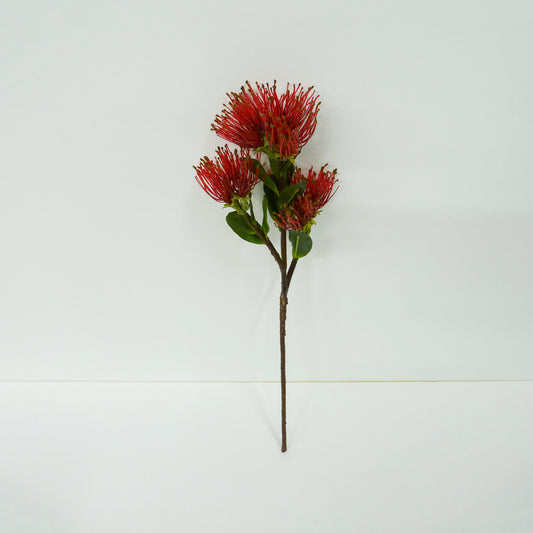 Red Protea pincushion