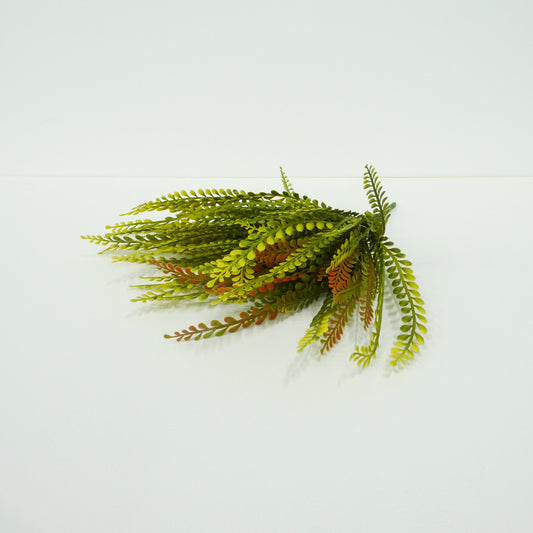 Artificial Water Fern