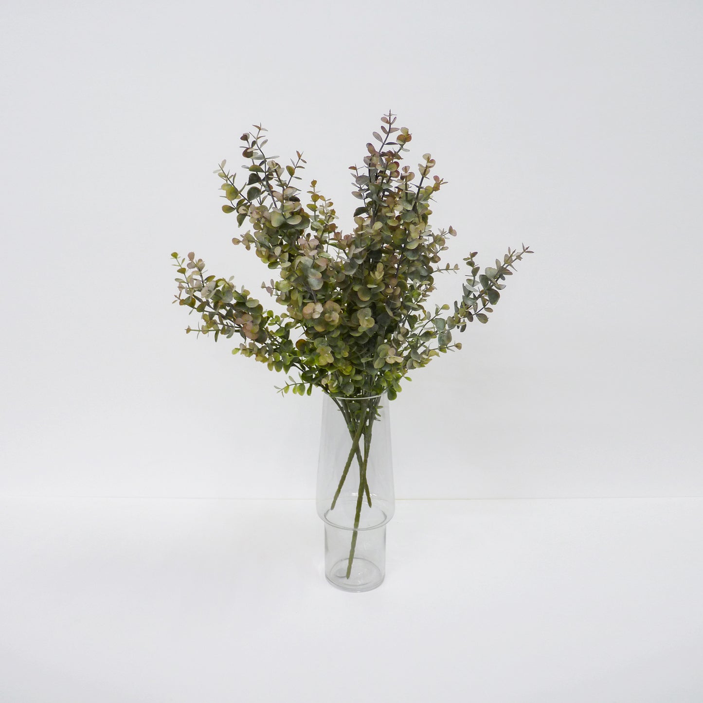 Eucalyptus Bunch