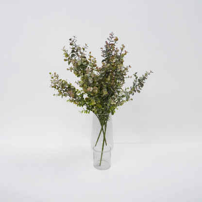 Eucalyptus Bunch