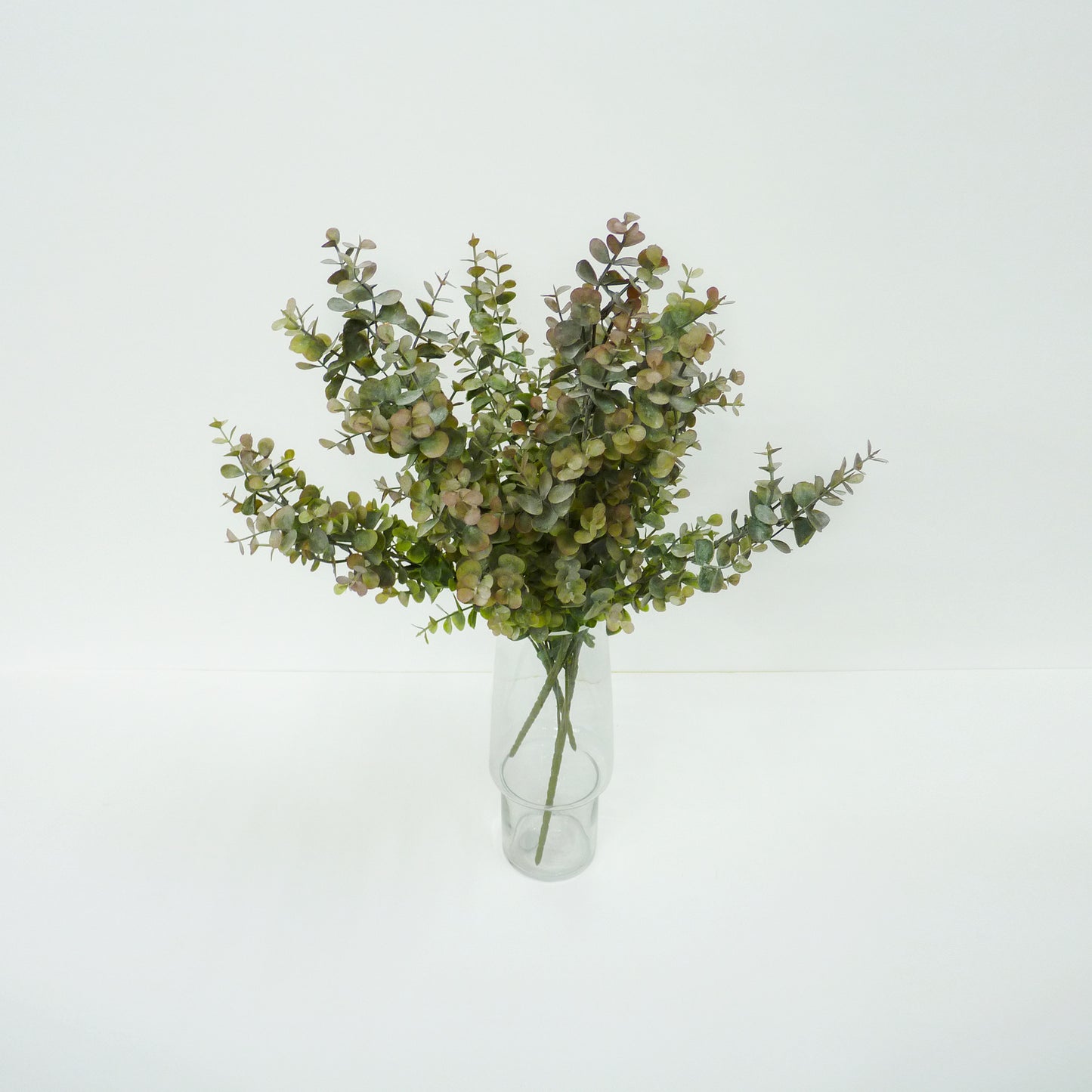 Eucalyptus Bunch