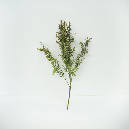 Eucalyptus Bunch