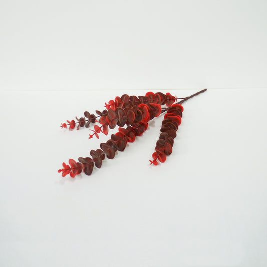 Red Cider Gum Eucalyptus Branch