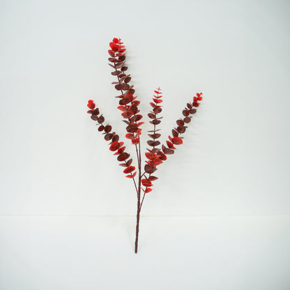 Red Cider Gum Eucalyptus Branch