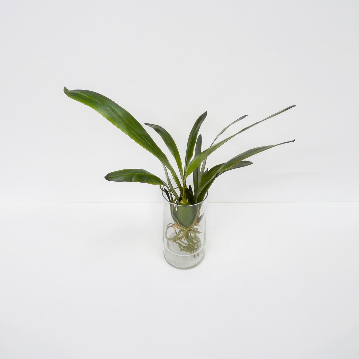 Artificial Water Greens