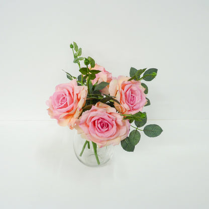 Pink Roses
