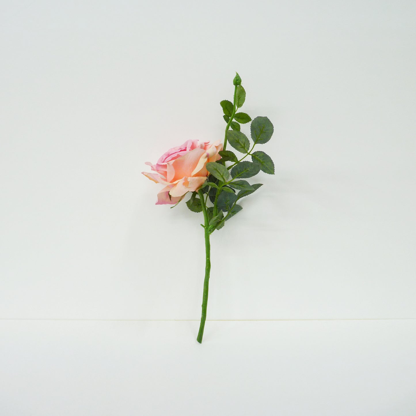 Pink Roses