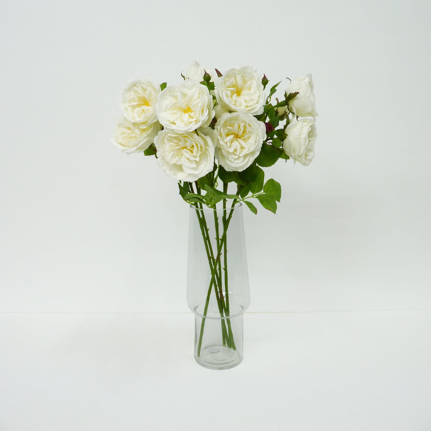 White Roses