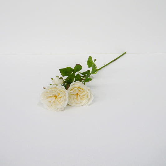 White Roses