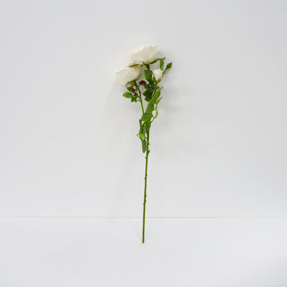 White Roses