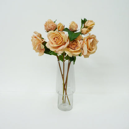Blush Roses