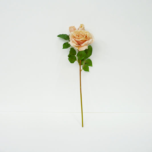 Blush Roses