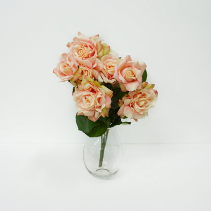 Soft Pink Roses