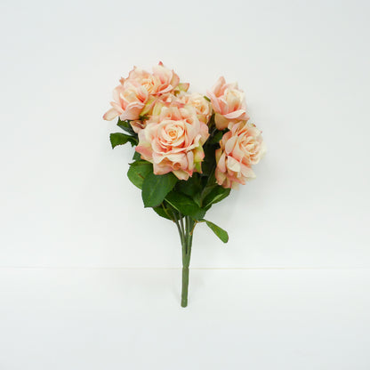 Soft Pink Roses