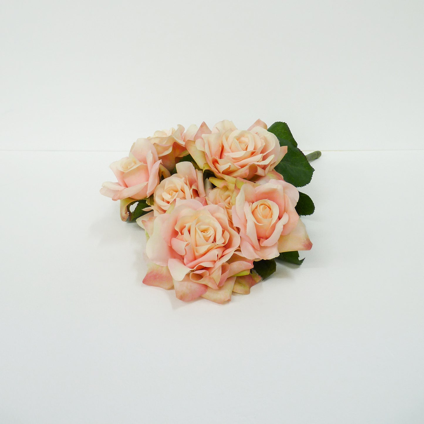 Soft Pink Roses