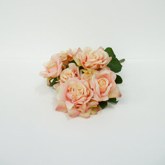 Soft Pink Roses