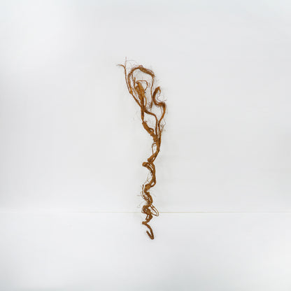 Vine Stems