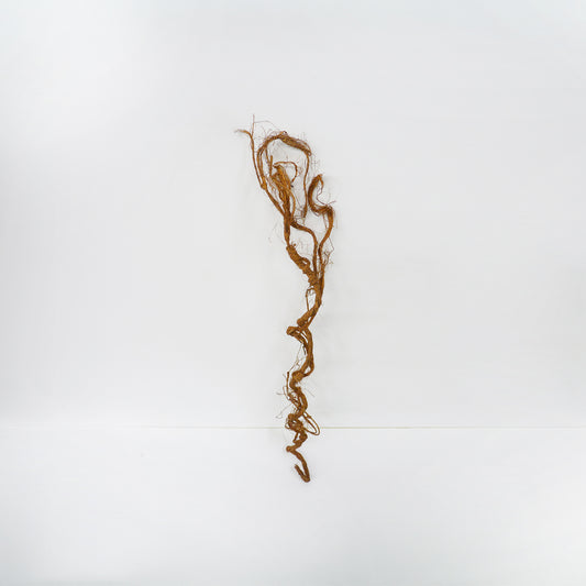 Vine Stems