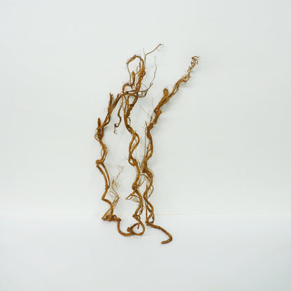 Vine Stems