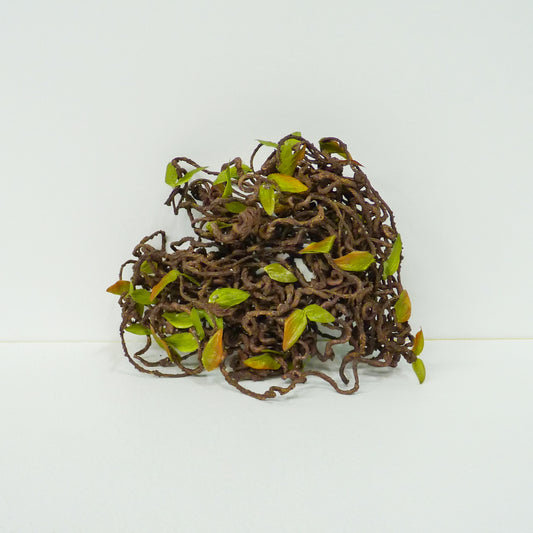 Stringy Vine