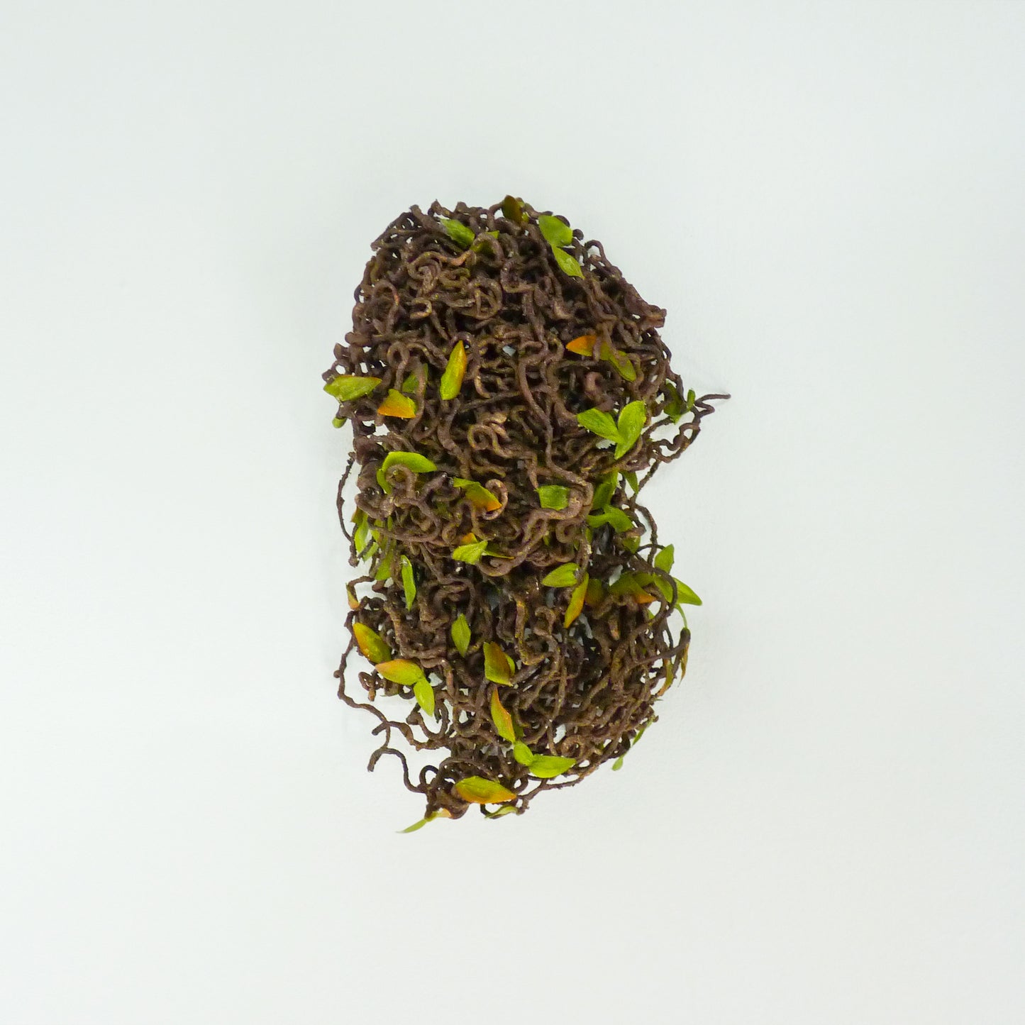 Stringy Vine