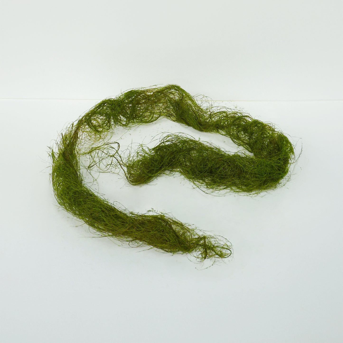 Moss Vine