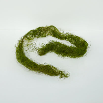 Moss Vine