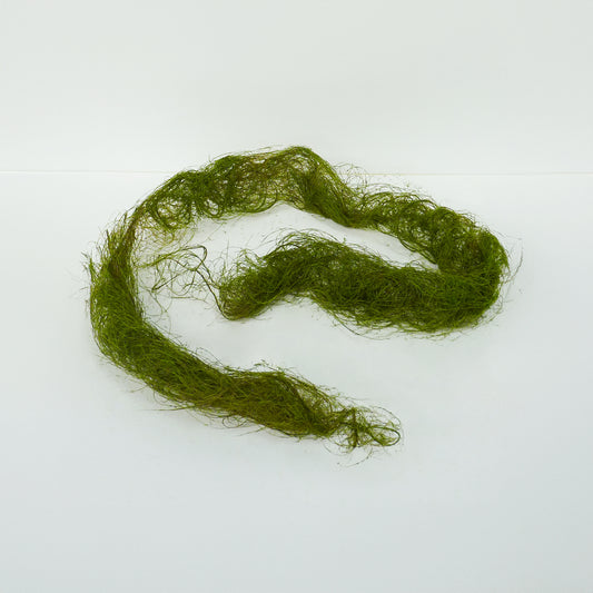 Moss Vine