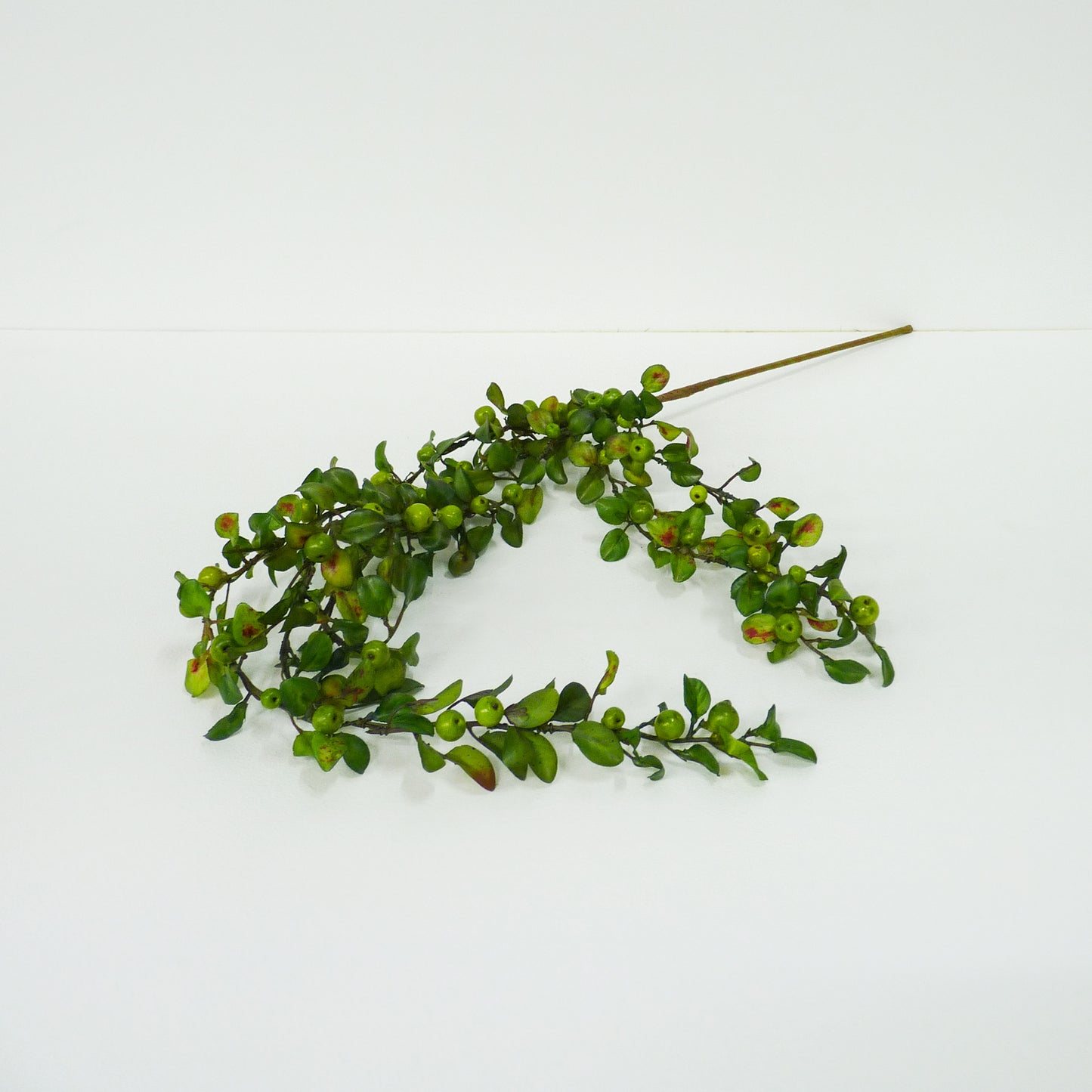 Lime Berries