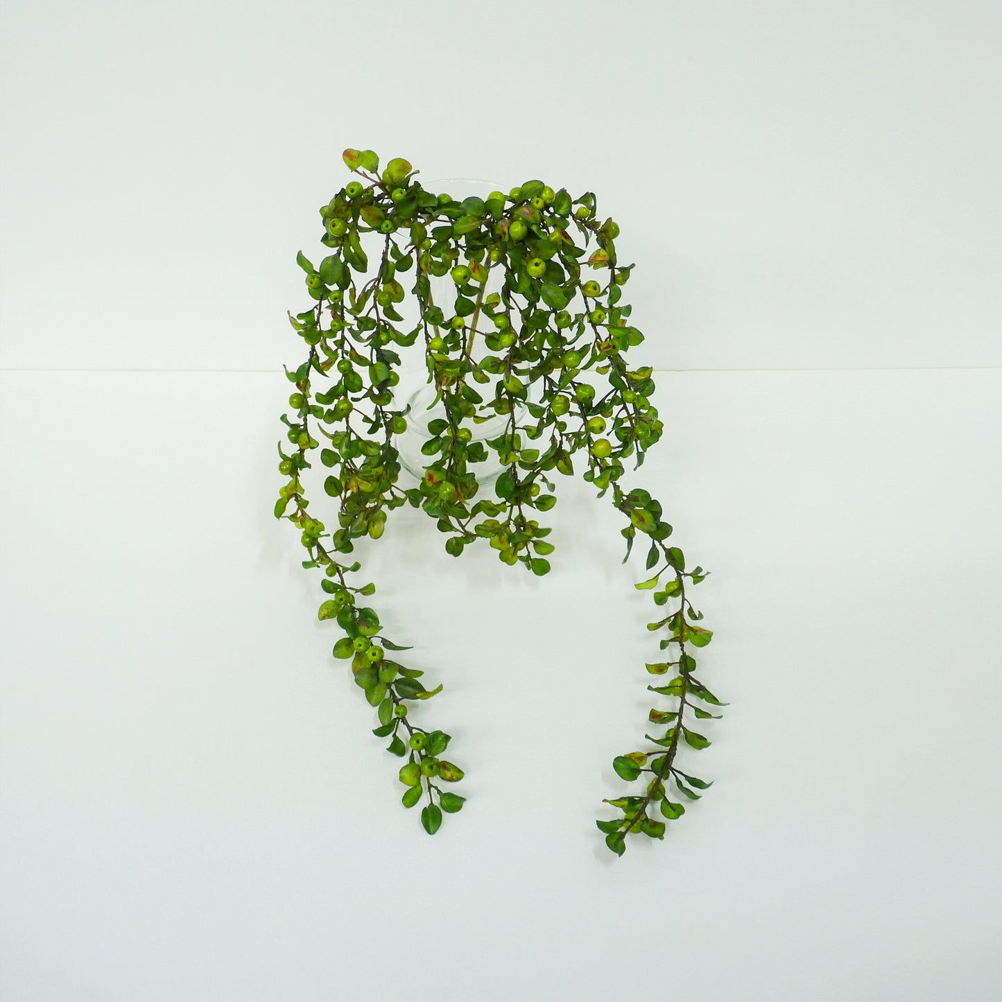 Lime Berries