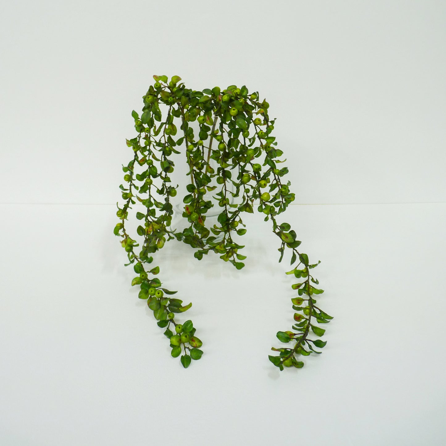 Lime Berries
