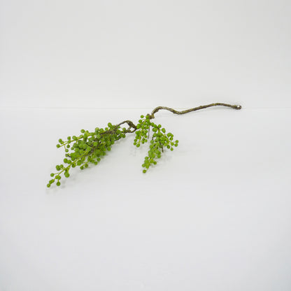 Green Berry Spray