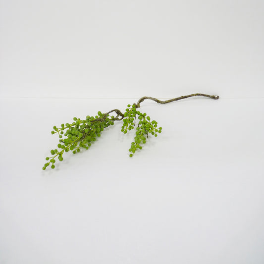 Green Berry Spray