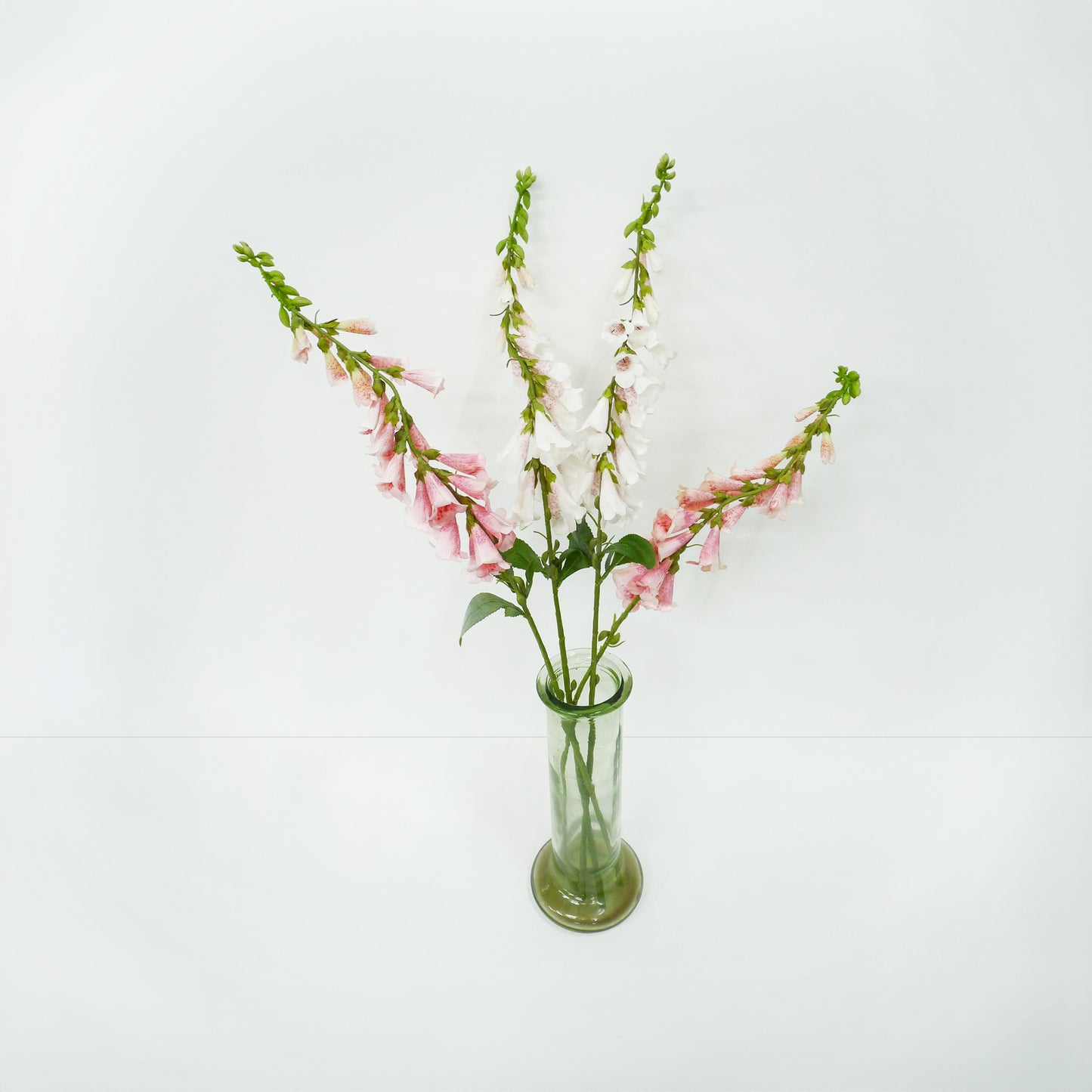 Fox Glove Spray