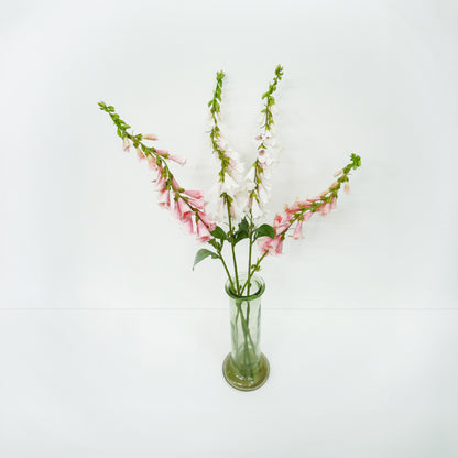 Fox Glove Spray