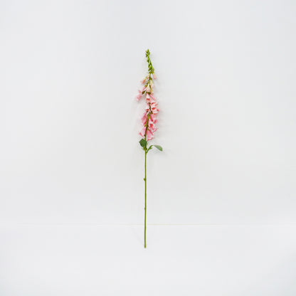Fox Glove Spray