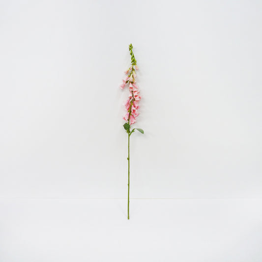 Fox Glove Spray