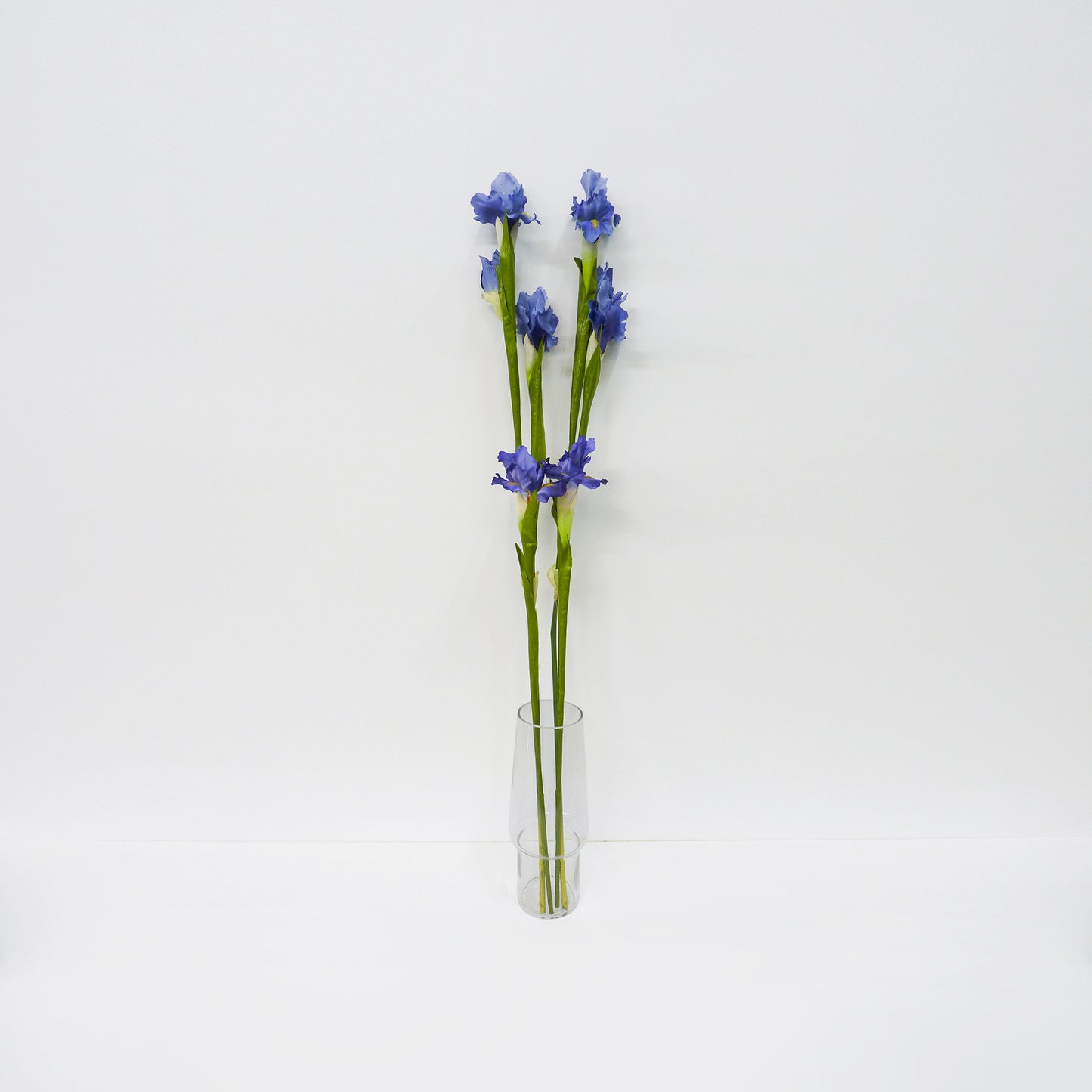 Iris Stems