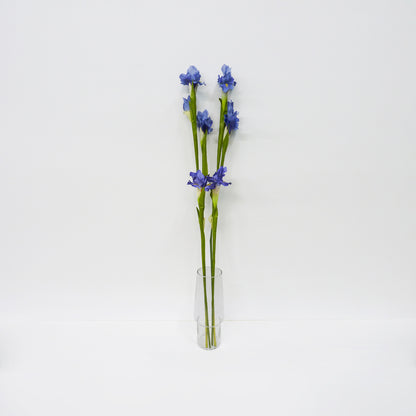 Iris Stems