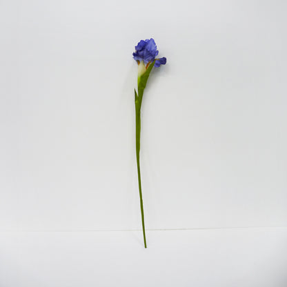 Iris Stems