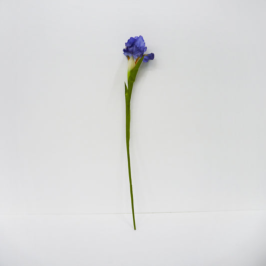 Iris Stems