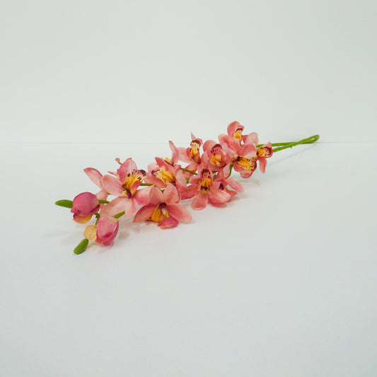 Light Pink Boat Orchid