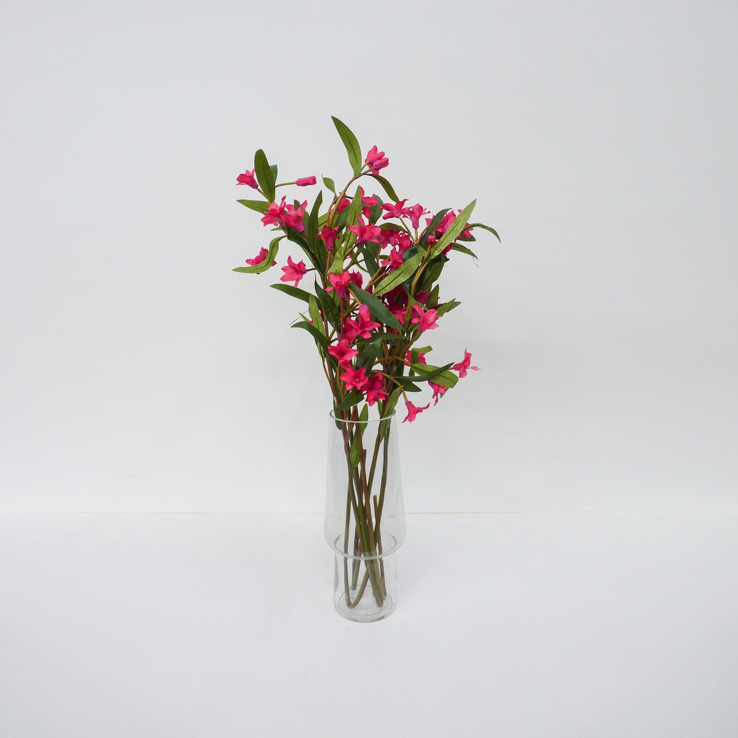 Pink Oleander